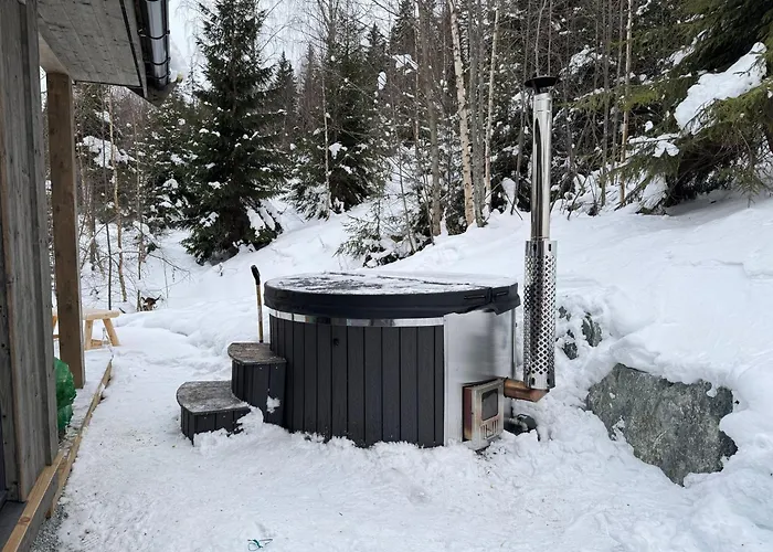 Robelia - Sauna, Hot Tub - Norefjell Center Noresund