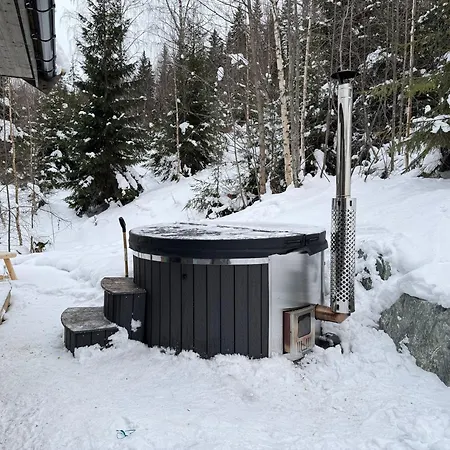 Robelia - Sauna, Hot Tub - Norefjell Center Noresund